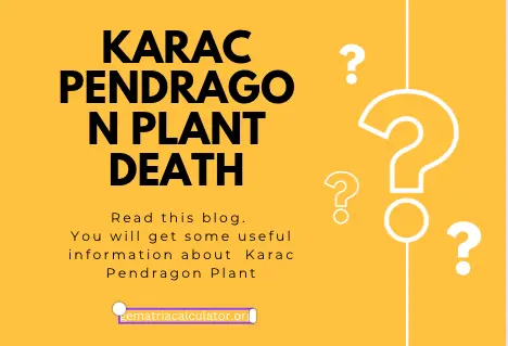 Karac Pendragon Plant death