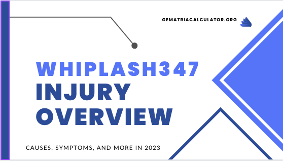 Whiplash347 Injury Overview